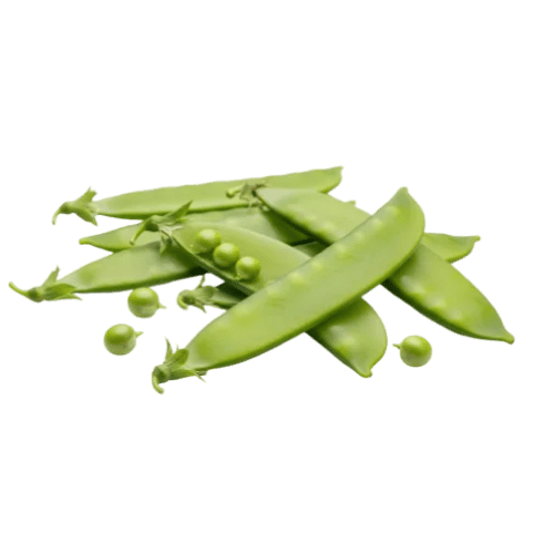 Garden Peas